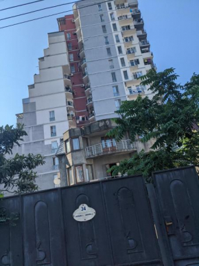 Cozy and comfy apartment, near city center